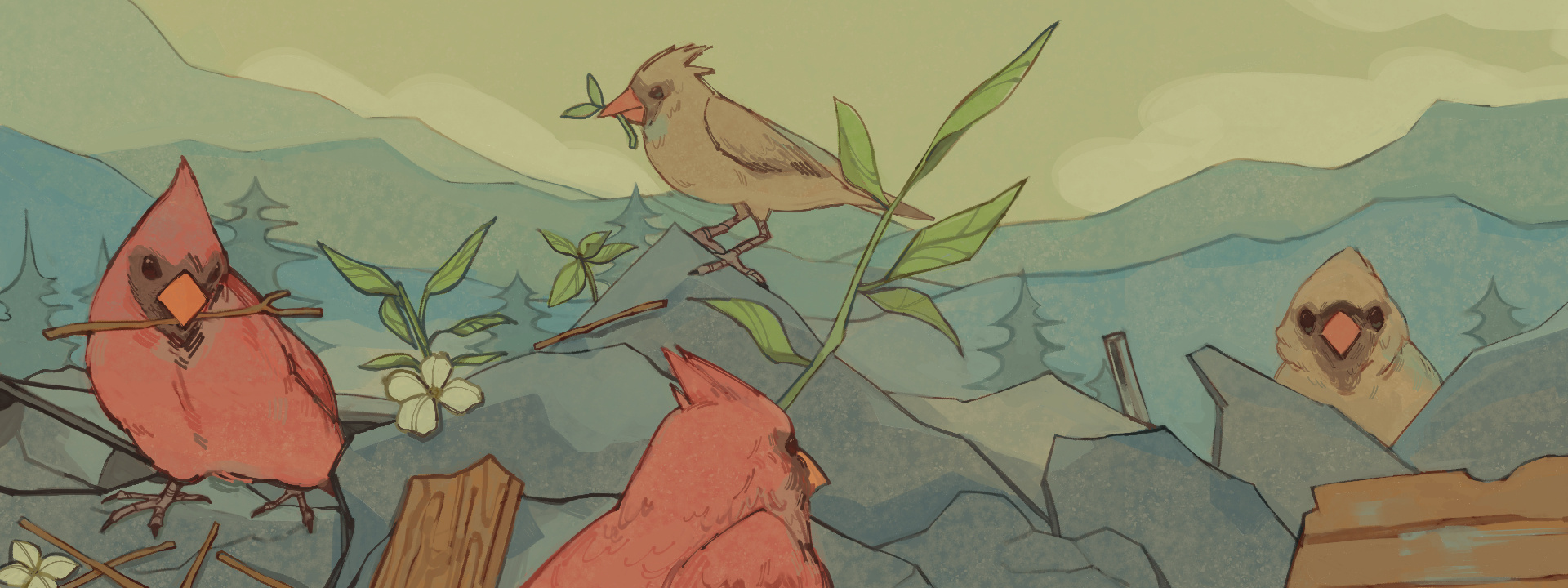 hurricane relief | client work - 2025, digital